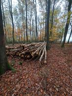 bois de chauffage : 15 m³ de bouleau à débiter., 6 m³ of meer, Ophalen, Berkenhout, Stammen