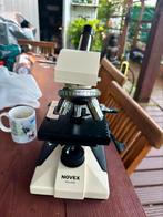 Microscope NOVEX K-Range, Animaux & Accessoires, Poissons | Poissons d'étang