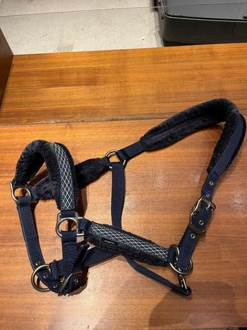 Paardrijden - set dekens, halsters... voor paarden beschikbaar voor biedingen