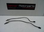 2x Lambdasonde / Lambda sonde Ducati Monster 821 2018-2021, Gebruikt, -, -, Ophalen of Verzenden