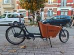 Vélo cargo électrique Babboe e-mini Mountain, Vélos & Vélomoteurs, Vélos | Vélos avec bac, Autres marques, Enlèvement, Utilisé