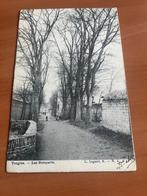 Postkaart Tongeren : les remparts -1907, Verzenden, Voor 1920, Gelopen, Limburg