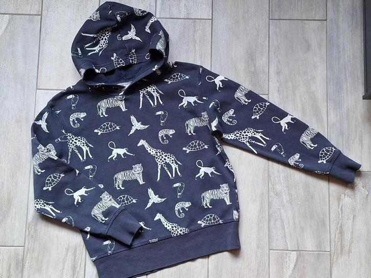 ★ M128/134 - Trui met kap, Kinderen en Baby's, Kinderkleding | Maat 128, Gebruikt, Jongen, Trui of Vest, Ophalen of Verzenden