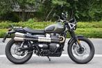TRIUMPH STREET SCRAMBLER - 35 KW, 2 cilinders, Bedrijf, 900 cc, 12 t/m 35 kW