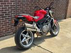 MV Agusta BRUTALE 910 F4 - Maar 18000km! Topper!, Autos, Autos Autre, Rouge, 909 cm³, Achat, Entreprise