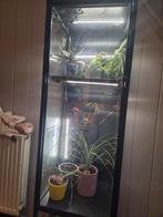 Greenhouse, Dieren en Toebehoren, Ophalen, Zo goed als nieuw, Verlichting