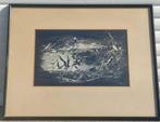 Lithographie oiseaux signe deterdt h, Ophalen of Verzenden