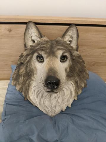 Tête de loup  beschikbaar voor biedingen