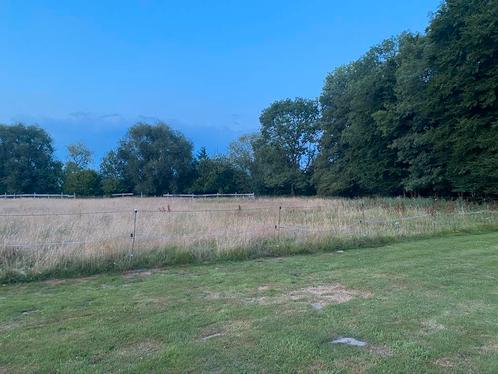 Paardenweide te huur, Dieren en Toebehoren, Stalling en Weidegang