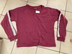 Nieuwe trui met grijze accenten - maat 46, Kleding | Dames, Ophalen of Verzenden, Nieuw, Maat 46/48 (XL) of groter