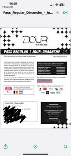 2 tickets Dour Festival - Samedi 20 juillet, Twee personen, Overige typen