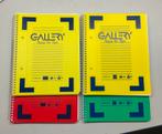 4 Spiraalschriften Gallery 2 gelijnd 2 geruit 5x5. A5, Enlèvement ou Envoi, Neuf