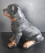 Beeld van een Rottweiler in harde kunstof, Ophalen of Verzenden, Gebruikt, Dier
