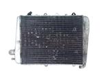 RADIATEUR Aprilia SRV 850 (01-1970/-) (654382), Motoren, Gebruikt