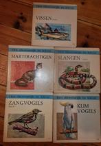 5 educatieve boekjes Het dierenrijk in kleur, Ophalen of Verzenden, Gelezen
