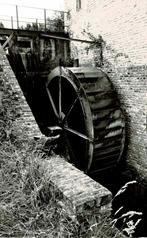 Elst - Perlinckmolen of Molen te Berlijn, Verzamelen, Postkaarten | België, Verzenden, 1980 tot heden, Ongelopen, Oost-Vlaanderen