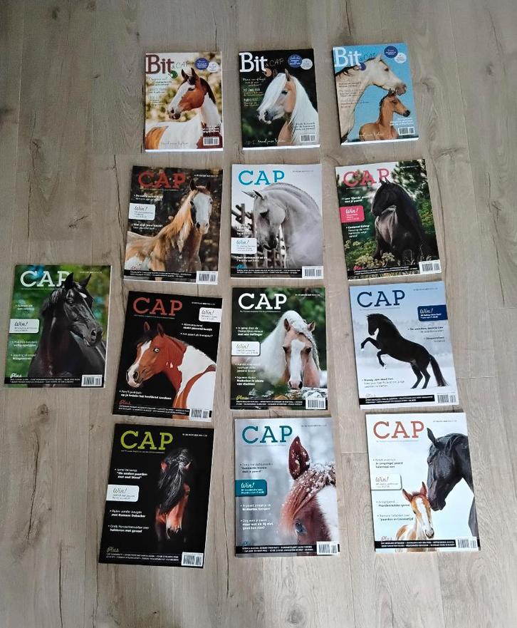 Paardentijdschrift Cap, Boeken, Tijdschriften en Kranten, Zo goed als nieuw, Sport en Vrije tijd, Ophalen of Verzenden