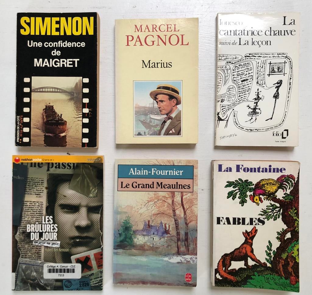 lot 6 boeken literatuur romans Franstalig, Boeken, Taal | Frans, Gelezen, Fictie, Ophalen of Verzenden