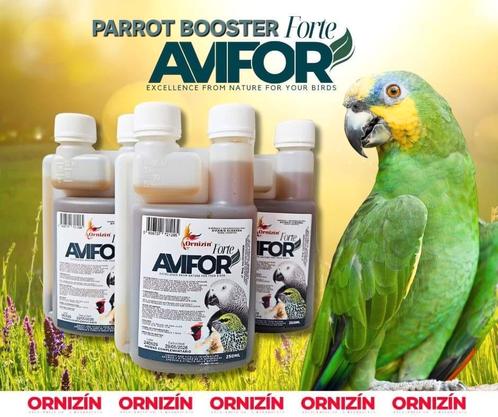 Parrot Booster 250ml ( avifor forte) Ornizìn, Dieren en Toebehoren, Vogels | Toebehoren, Nieuw, Ophalen
