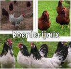 Verse broed eieren , diverse soorten boerderij mix