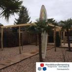 Noordzee schelpen beige bruin schelpenpad decoratie tuin pad, Verzenden, Nieuw, Beige, Grind