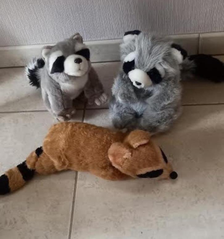 knuffel wasbeer 3 stuks, Kinderen en Baby's, Speelgoed | Knuffels en Pluche, Zo goed als nieuw, Ophalen of Verzenden