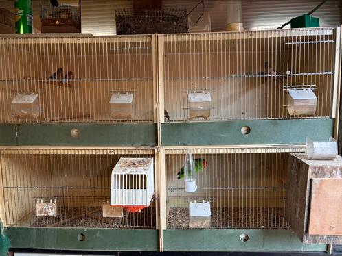 Kweekkooien heesakkers, Dieren en Toebehoren, Vogels | Hokken en Kooien, Zo goed als nieuw, Broedkooi of Kweekkooi, Kunststof