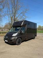 Paardencamionette met chauffeur te huur, Dieren en Toebehoren, Ophalen, Zo goed als nieuw, 2-paards trailer