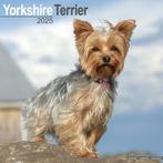 Yorkshire Terrier kalender 2025, Ophalen of Verzenden, Jaarkalender, Nieuw