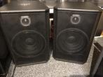 Prachtige set speakers 15 inch 300 watt Rms, TV, Hi-fi & Vidéo, Enceintes, Autres marques, Comme neuf, Enlèvement, Autres types