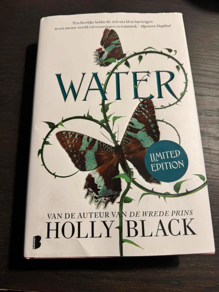 Holly Black - Water, Boeken, Fantasy, Zo goed als nieuw, Ophalen of Verzenden