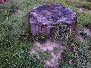 Hout en legplanken, Enlèvement