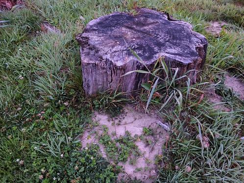 Hout en legplanken, Doe-het-zelf en Bouw, Hout en Planken, Ophalen