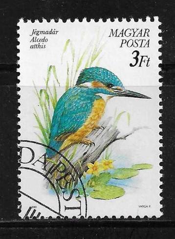 Hongarije - 1990 - Vogels - Afgestempeld - Lot Nr. 994