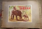 Tarzan album complet genre panini chocolat coop rare, Utilisé, Enlèvement ou Envoi