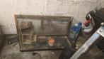 Glazen kooi met dak plastice kooi met muis, Dieren en Toebehoren, Ophalen, Zo goed als nieuw, Kooi, Muis