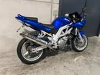 Suzuki SV1000S, Motos, Entreprise, Plus de 35 kW, Autre, 1000 cm³