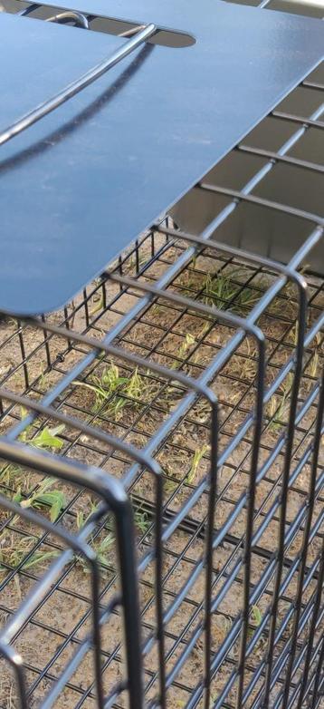 VOSSEVAL HONDENVAL KATTEVAL  beschikbaar voor biedingen