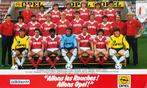 Fiche d'équipe du Standard de Liège saison 1987-1988, Collections, Articles de Sport & Football, Cartes de joueur, Utilisé, Enlèvement ou Envoi