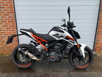 Ktm Duke 125 | 2019 | 4300km | A1/B rijbewijs beschikbaar voor biedingen