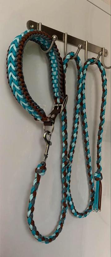 Hondenhalsbanden en/of leibanden beschikbaar voor biedingen