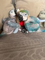 * *Te Reserveren* * Super tamme blauw gele ara’s, Dieren en Toebehoren, Papegaai, Pratend