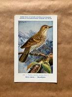 Vogels van België  Nr. 178 Goudlijster, Ophalen of Verzenden, Ongelopen, Vogel