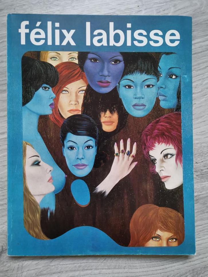 Félix Labisse - Boymans-Van Beuningen Rotterdam 1973, Boeken, Kunst en Cultuur | Beeldend, Gelezen, Schilder- en Tekenkunst, Ophalen of Verzenden