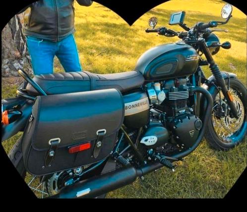 Triumph Bonneville T120 série limitée Gold line, Motos, Motos | Triumph, Entreprise, Enlèvement