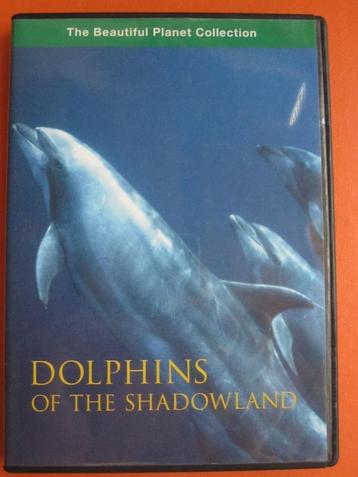 The Beautiful Planet Collection - Dolphins of the Shadowland beschikbaar voor biedingen
