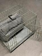 Hondenbench klein/middelgrote honden met kussen, Dieren en Toebehoren, Ophalen, Gebruikt