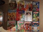 Elfquest, Boeken, Meerdere stripboeken, Ophalen of Verzenden, Zo goed als nieuw