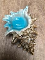 JUEGO CAFE CARACOLAS schelp schaaltje, Enlèvement ou Envoi