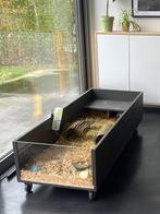 Groot stijlvol caviahok, Hok, Ophalen, Minder dan 60 cm, 110 cm of meer